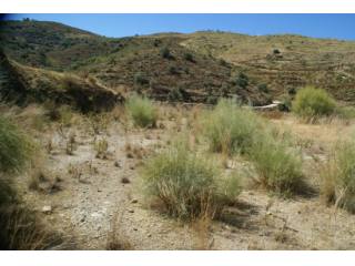 Rural land for Sale in Torrox, Torrox..