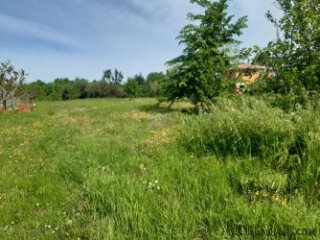 Istra, Poreč - Kaštelir građevinsko zemljište