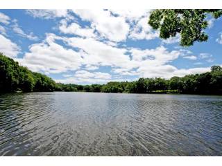 Land For Sale: Bedford Corners, New York