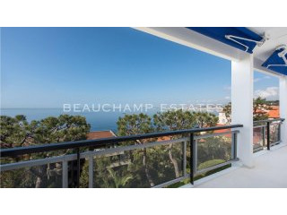 Beautiful apartment entirely renovated