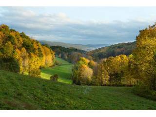 Land For Sale: Washington, New York
