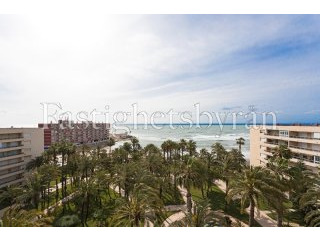 Torrevieja | Costa Blanca