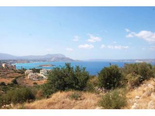 DCP-216 Beautiful Plot in Plaka..