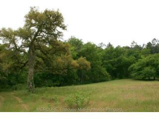3 bedroom House For Sale: 47170..