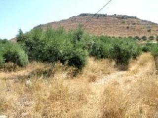Land In A Peaceful Cretan Location For..