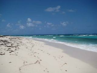Singlefamilyvacant - A vacant lot..
