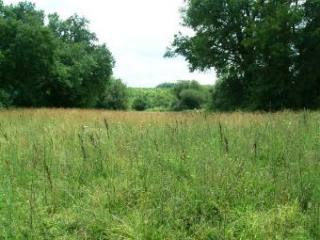 Only 10 Mn From Bergerac Lovely Views..