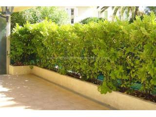 Sale Apartment - Cap d'Antibes