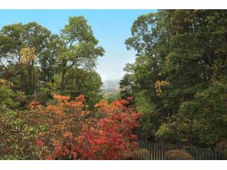 Land For Sale: 80 Chapin Rd