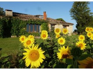 Successful Gite Complex and Spa in Lot..