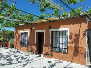 Villa - A finca set in a large, flat..