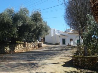 Stables*