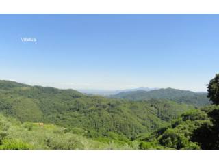 Village/town House - For Sale - North..