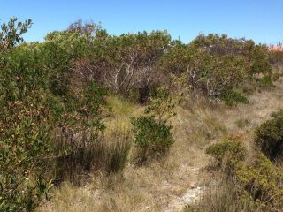 Bettys Bay Vacant Land, Bettys Bay