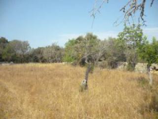 Artà, finca plot with views to San..