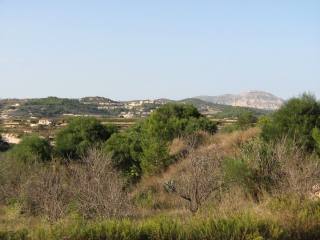 Land - For Sale