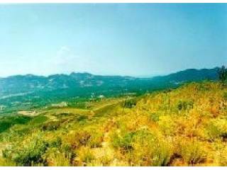 Large Plot On A Hill At Agia