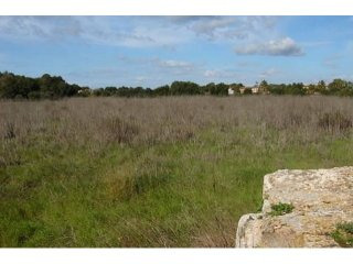 Rustic Plot Of Land Just Opposite To..