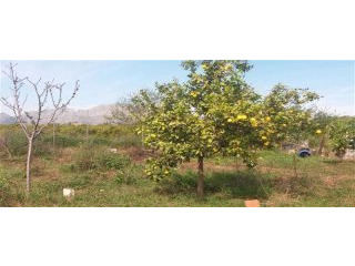 - Property - Alicante - For Sale