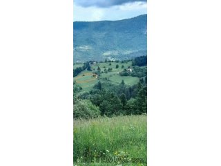 Prodaja zemljista planina Tara
