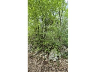 Poljoprivredno zemljište 11.980 m2, 600 m od mora