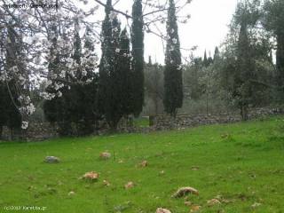 Land - Zakynthos - For Sale