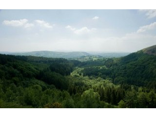 Land Plot Investment Opportunity, Afan..