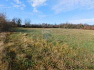 Okolica Brtonigle - Građevinsko zemljište od 5.700m2