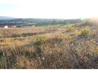 Villa - Languedoc-Roussillon - For Sale