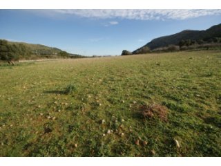 Large 99.443m2 plot of land located on the West slope of..