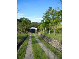 Organic Farm With A Beautiful Home