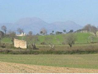 Finca plot with project for 78m2