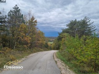 Buzet - poljoprivredno zemljište