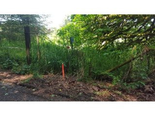 13353 Old Columbia River HWY..