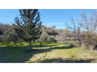 - Land - Paphos - For Sale