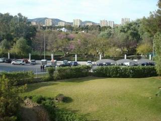 Apartment - INVESTMENT APARTMENT just a..