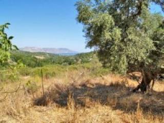 Crete Land Property For Sale