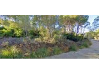 - Land - For Sale