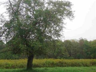 Land For Sale: Beekman, New York