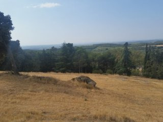 Land Of 9397 M2 Including A..
