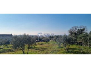 Pula, Fažana, 1500m2, moguć ulaz sa dvije strane, 700m od m..