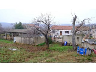 Istra, Bale, 50000m2, šume 24000m2, stara kuća, dvorište