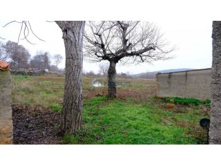Istra, Bale, stara kamena kuća, dvorište