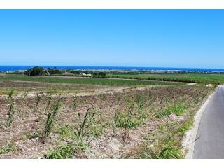 Property For Sale: Mount Pleasant Lot..