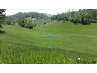 LEPENICE - 19 000 m2