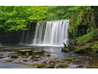 Land Plot Investment Opportunity, Afan..
