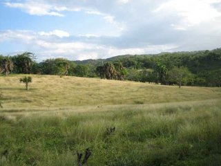 Beautiful Farmland In Cabarete For Sale