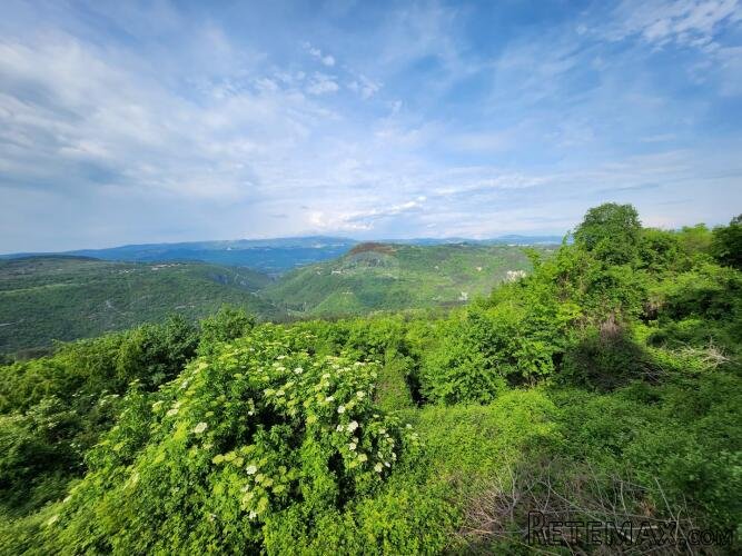 Istra, Buzet, Sovinak - ne građevinsko zemljište 3,7 ha - 2