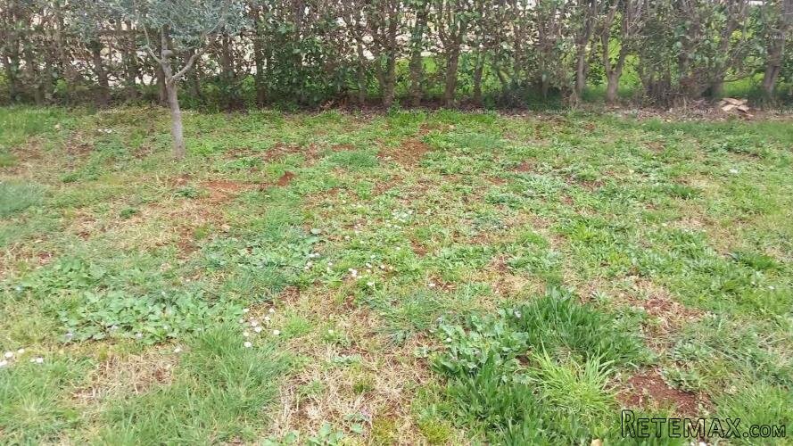Peroj - Građevinsko zemljište s pogledom na more - 2