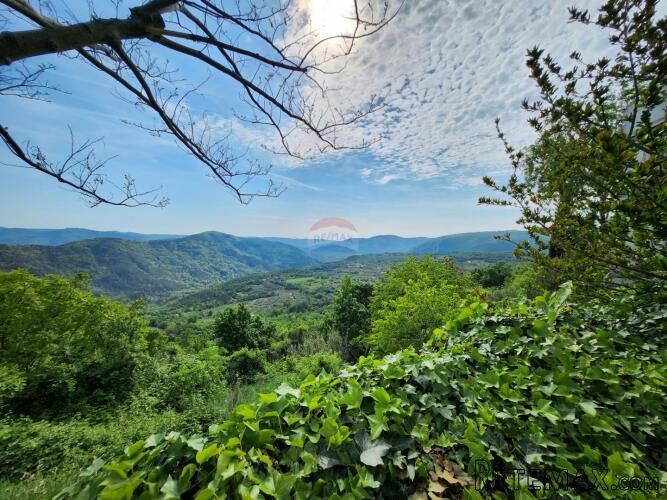 Istra, Buzet, Sovinak - ne građevinsko zemljište 3,7 ha - 3